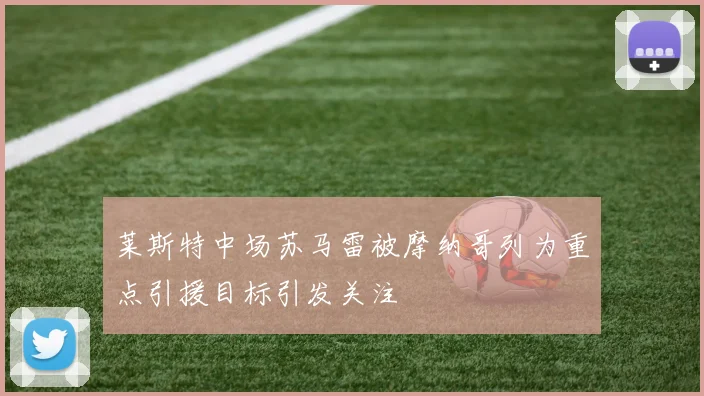 莱斯特中场苏马雷被摩纳哥列为重点引援目标引发关注