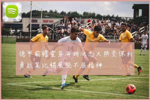 德甲前瞻霍芬海姆状态火热圣保利勇战莱比锡展现不屈精神