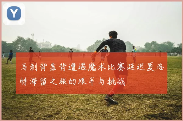 马刺背靠背遭遇魔术比赛延迟夏洛特滞留之旅的艰辛与挑战